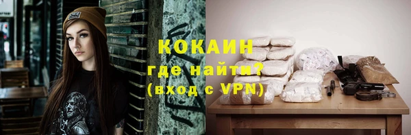 apvp Алексин
