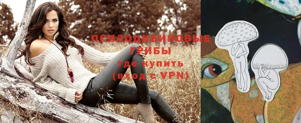 apvp Алексин