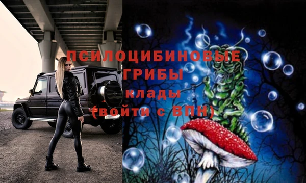 apvp Алексин