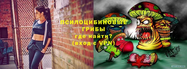 apvp Алексин